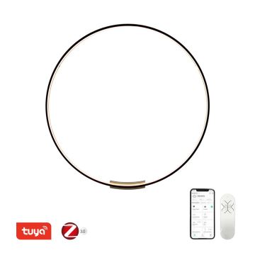 Immax NEO 07245-120 - LED Dimmelhető fali lámpa FINO LED/70W/230V 120 cm Tuya + távirányítás