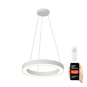 Immax NEO - LED Dimmelhető csillár zsinóron PASTEL LED/52W/230V 60 cm fehér Tuya