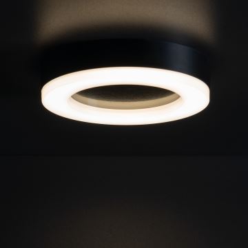 LED Kültéri mennyezeti lámpa TURA LED/24W/230V 4000K IP54 fekete
