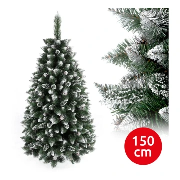 Karácsonyfa TAL 150 cm borókafenyő