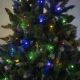Karácsonyfa TEM I 250 cm borókafenyő