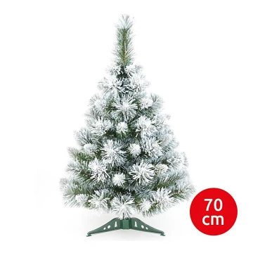 Karácsonyfa XMAS TREES 70 cm fenyő