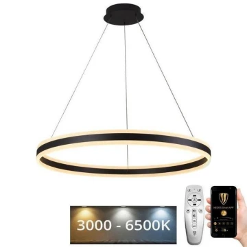 LED Dimmelhető csillár zsinóron LED/110W/230V 3000-6500K + távirányító