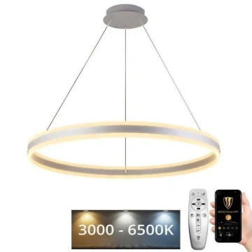 LED Dimmelhető csillár zsinóron LED/110W/230V 3000-6500K + távirányító