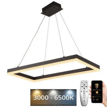 LED Dimmelhető csillár zsinóron LED/40W/230V 3000-6500K + távirányító