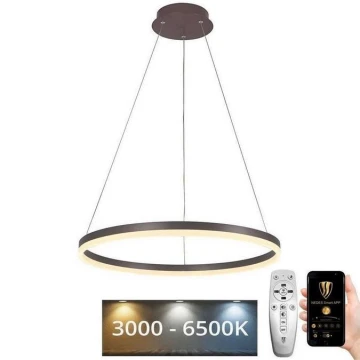 LED Dimmelhető csillár zsinóron LED/42W/230V 3000-6500K + távirányító