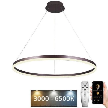 LED Dimmelhető csillár zsinóron LED/55W/230V 3000-6500K + távirányító