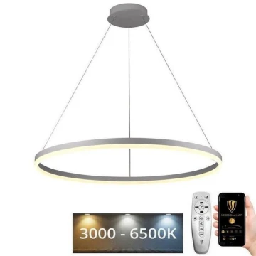 LED Dimmelhető csillár zsinóron LED/55W/230V 3000-6500K + távirányító