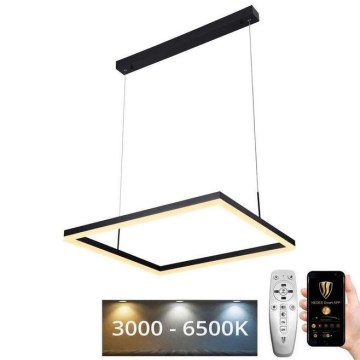 LED Dimmelhető csillár zsinóron LED/55W/230V 3000-6500K + távirányító