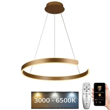 LED Dimmelhető csillár zsinóron LED/70W/230V 3000-6500K + távirányító