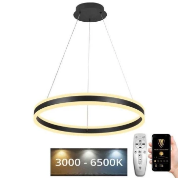 LED Dimmelhető csillár zsinóron LED/85W/230V 3000-6500K + távirányító