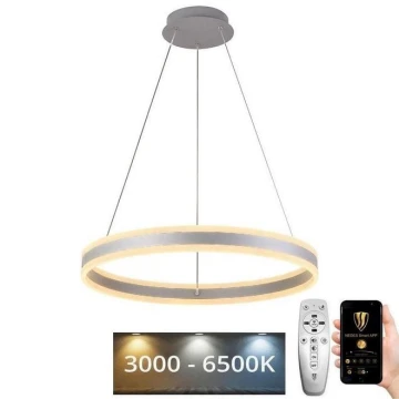 LED Dimmelhető csillár zsinóron LED/85W/230V 3000-6500K + távirányító