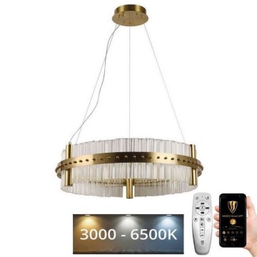 LED Dimmelhető kristály csillár zsinóron LED/40W/230V 3000-6500K + távirányítás