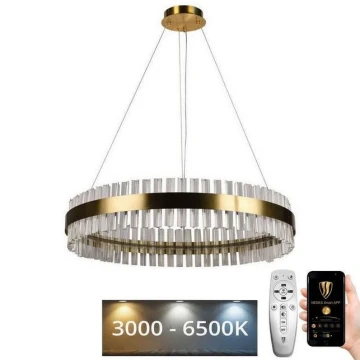 LED Dimmelhető kristály csillár zsinóron LED/55W/230V 3000-6500K + távirányítás