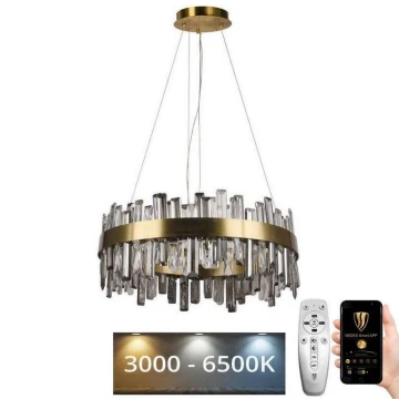 LED Dimmelhető kristály csillár zsinóron LED/80W/230V 3000-6500K + távirányítás