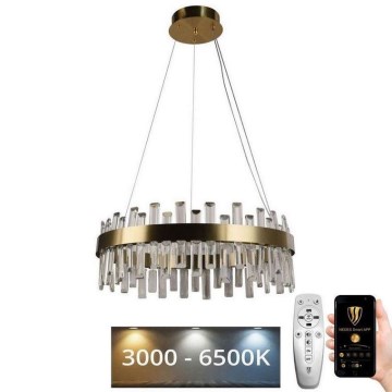 LED Dimmelhető kristály csillár zsinóron LED/80W/230V 3000-6500K + távirányítás