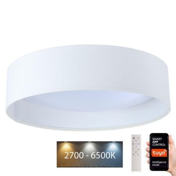 LED Dimmelhető lámpa SMART GALAXY LED/36W/230V á. 55 cm Wi-Fi Tuya + távirányító