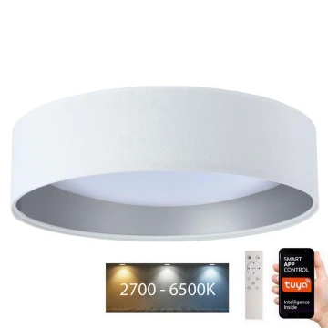 LED Dimmelhető lámpa SMART GALAXY LED/36W/230V á. 55 cm Wi-Fi Tuya + távirányító