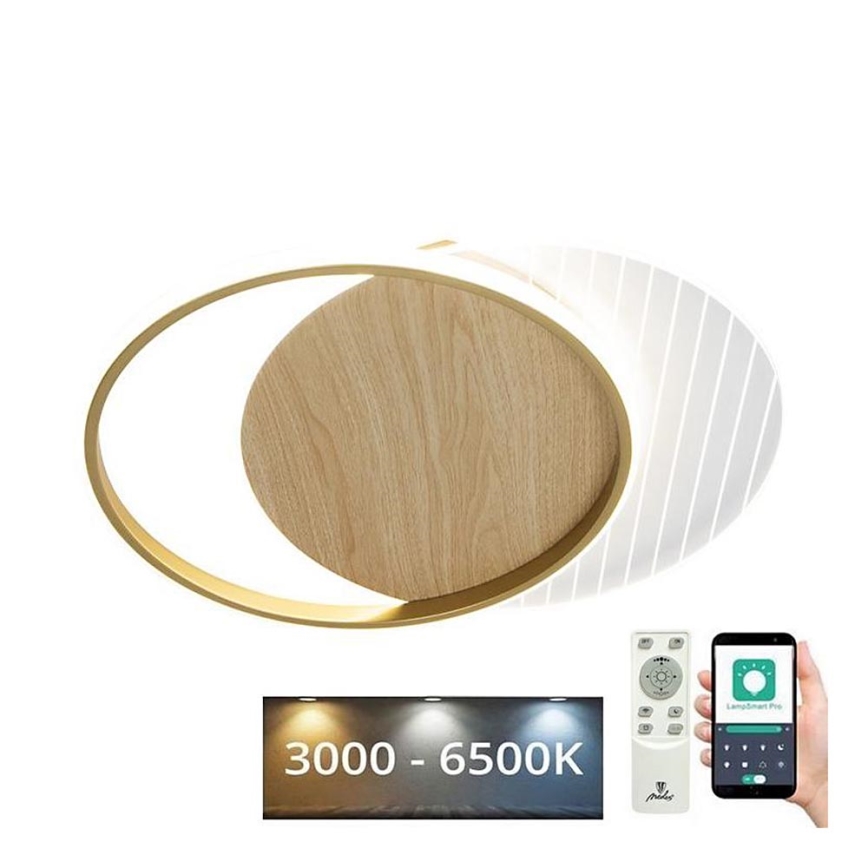 LED Dimmelhető mennyezeti lámpa LED/60W/230V 3000-6500K + távirányítás