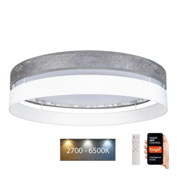 LED Dimmelhető mennyezeti lámpa LIMA LED/36W/230V 2700-6500K Wi-Fi Tuya + távirányító ezüst/fehér