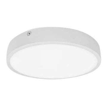 LED Fürdőszobai mennyezeti lámpa EGON LED/30W/230V IP44 3000K