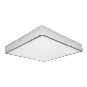 LED Fürdőszobai mennyezeti lámpa EGON LED/30W/230V IP44 4000K