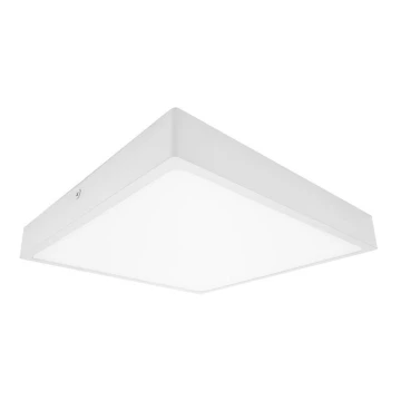 LED Fürdőszobai mennyezeti lámpa EGON LED/30W/230V IP44 4000K