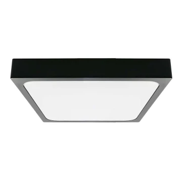 LED Fürdőszobai mennyezeti lámpa LED/18W/230V 3000K IP44 fekete