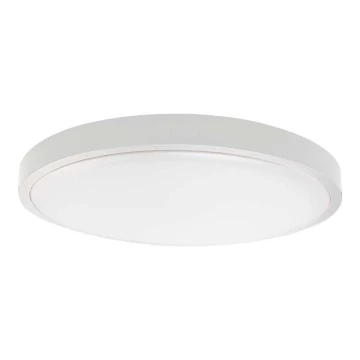 LED Fürdőszobai mennyezeti lámpa LED/24W/230V 3000K IP44 fehér