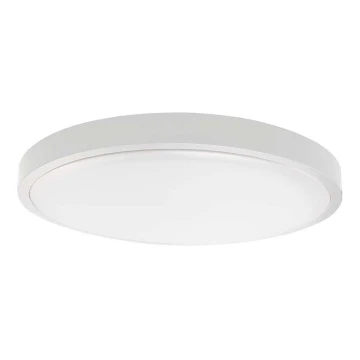 LED Fürdőszobai mennyezeti lámpa LED/24W/230V 4000K IP44 fehér