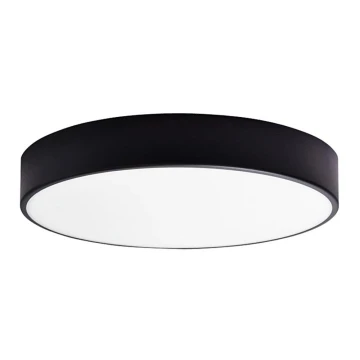 LED Fürdőszobai mennyezeti lámpa RENE LED/15W/230V IP44 fekete