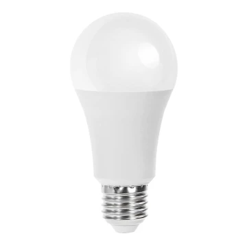 LED Izzó A60 E27/21W/230V 6500K - Aigostar