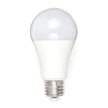 LED Izzó A80 E27/18W/230V 3000K