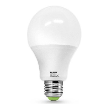LED izzó LEDSTAR XP E27/20W/230V 4000K