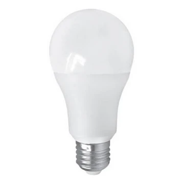 LED Izzó PITT A60 AC/DC E27/12W/24V 4000K