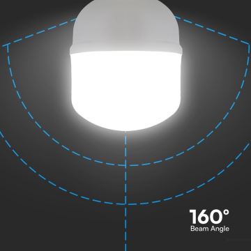 LED Izzó T100 E27/30W/230V 6500K