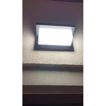 LED Kültéri fali lámpa LED/12W/230V IP54 fekete