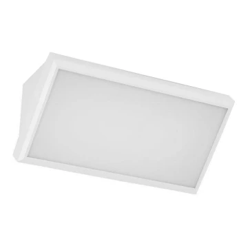 LED Kültéri fali lámpa LED/20W/230V 4000K IP65 fehér