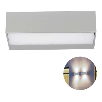 LED Kültéri fali lámpa LED/9W/230V 6400K IP65