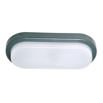 LED Kültéri fali lámpa OVAL LED/12W/230V IP54