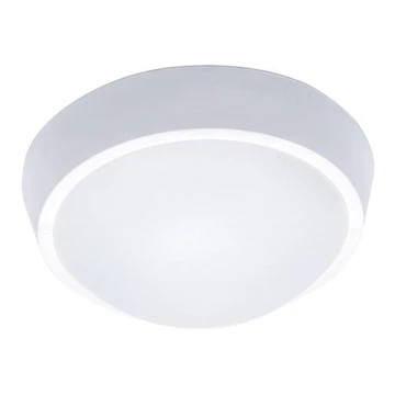 LED Kültéri mennyezeti lámpa 1xLED/30W/230V  IP65