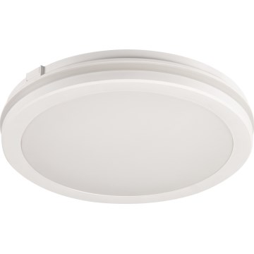 LED Kültéri mennyezeti lámpa BENO ECO LED/40W/230V 3000/4000/6500K átm. 40 cm IP65 fehér