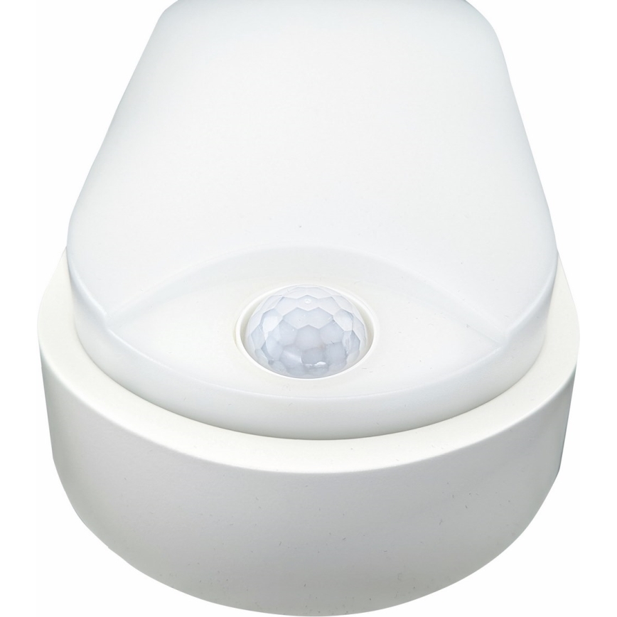 LED Kültéri mennyezeti lámpa érzékelővel LED/14W/230V IP54 fehér