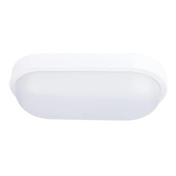 LED Kültéri mennyezeti lámpa LED/20W/230V IP54