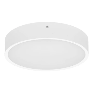 LED Kültéri mennyezeti lámpa MARTIN LED/15W/230V 3000/4000K átm. 30 cm IP65 fehér