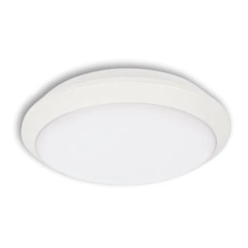 LED Kültéri mennyezeti lámpa TIPO LED/24W/230V IP66