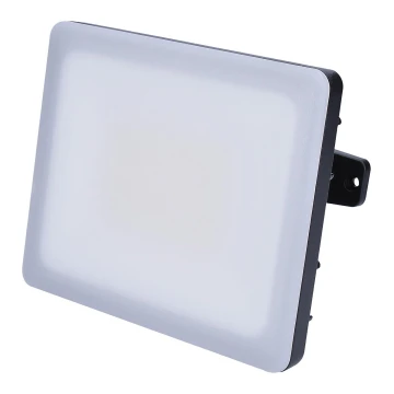 LED Kültéri reflektor LED/30W/230V 4000K IP65