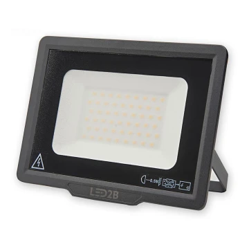 LED Kültéri reflektor LED/50W/230V 6500K IP65