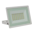 LED Kültéri reflektor NOCTIS LUX 3 LED/30W/230V 3000K IP65 fehér