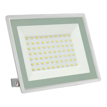 LED Kültéri reflektor NOCTIS LUX 3 LED/50W/230V IP65 fehér
